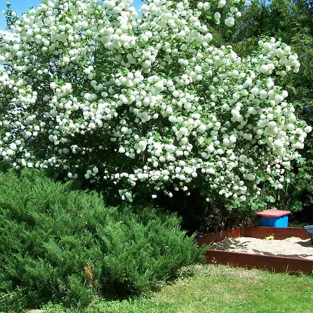 Agrohotelik-gospodarstwo Agroturystyczne